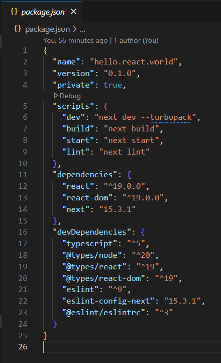 package.json file showing npm package dependencies and scripts