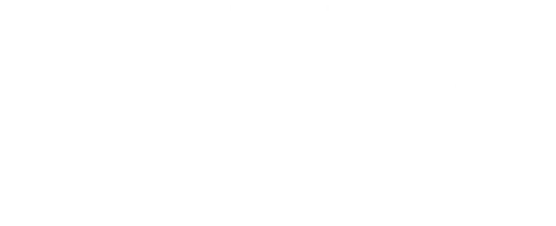 Texas DIR logo
